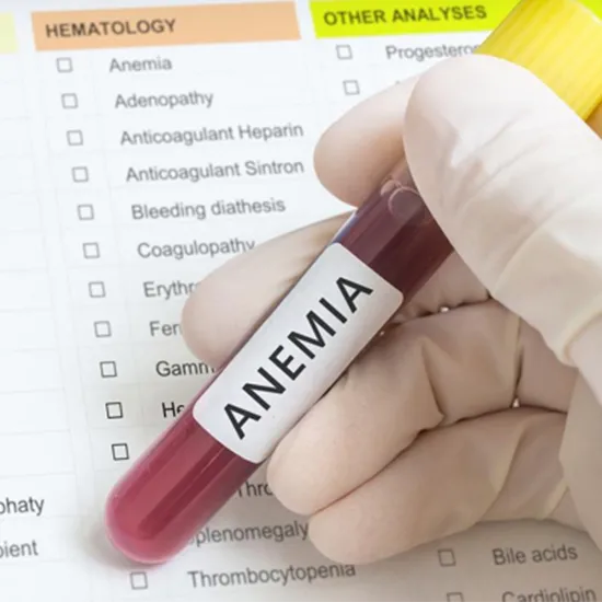 Anemia Panel Basic